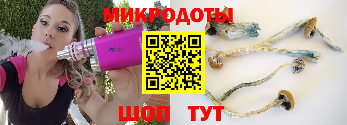 Кубинка  Галлюциногенные грибы Psilocybe  Вход с VPN  Галлюциногенные грибы GOLDEN TEACHER 