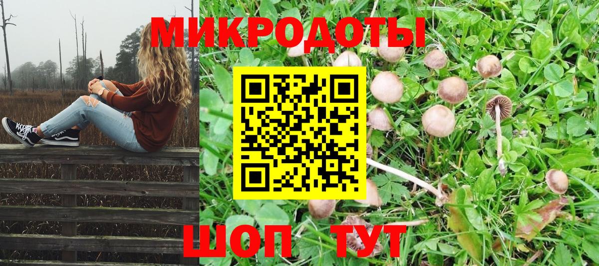 Галлюциногенные грибы мухоморы Кубинка